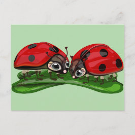 Ladybugs  vykort