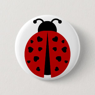 ladybugz. knapp