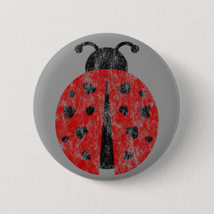 ladybugz. knapp
