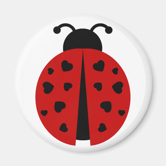 ladybugz. magnet (Framsidan)