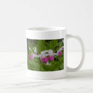 ladyslipper kaffemugg