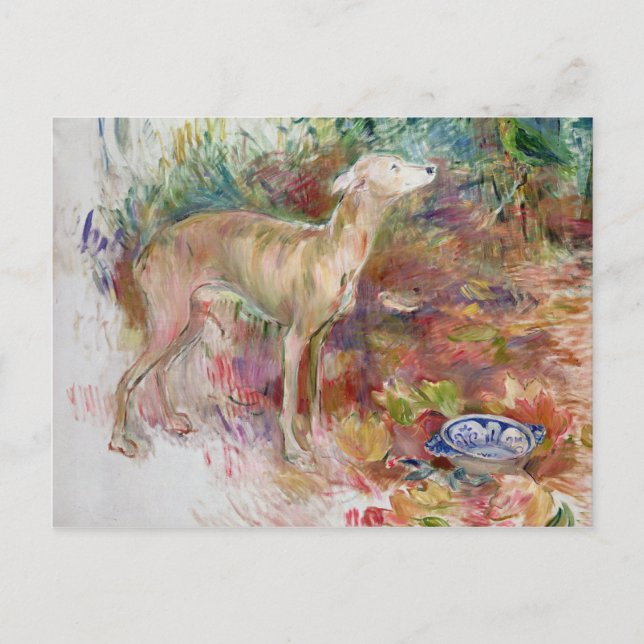 Laerte the Greyhound, 1894 Vykort (Framsida)