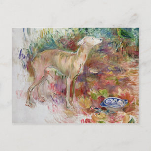 Laerte the Greyhound, 1894 Vykort