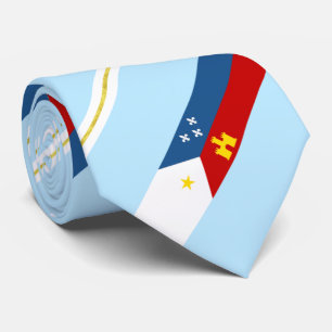 Lafayette (Louisiana) City flagga Neck Tie Slips