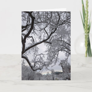 Lafayette Square, Snowy träd Kort