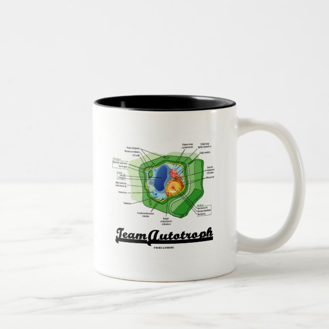 Lag Autotroph (växtcellbiologi) Två-Tonad Mugg (Höger)