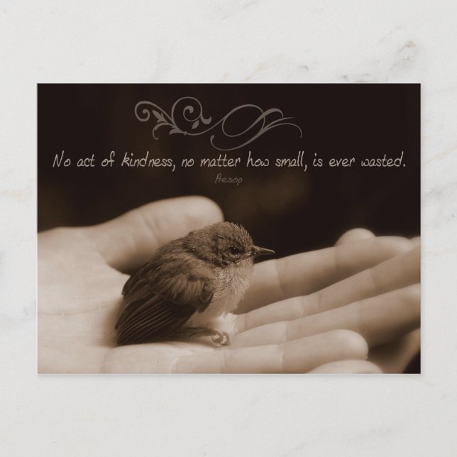 Lag av skindness inspirational Post Card Vykort (Framsida)