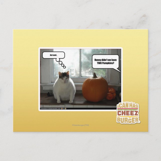 Lag-coola Vykort (Framsida)