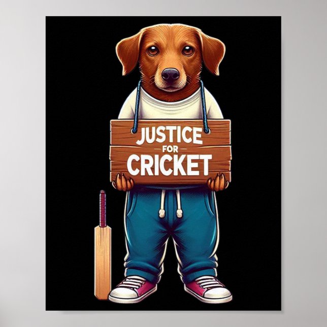 Lag Cricket  Poster (Framsidan)