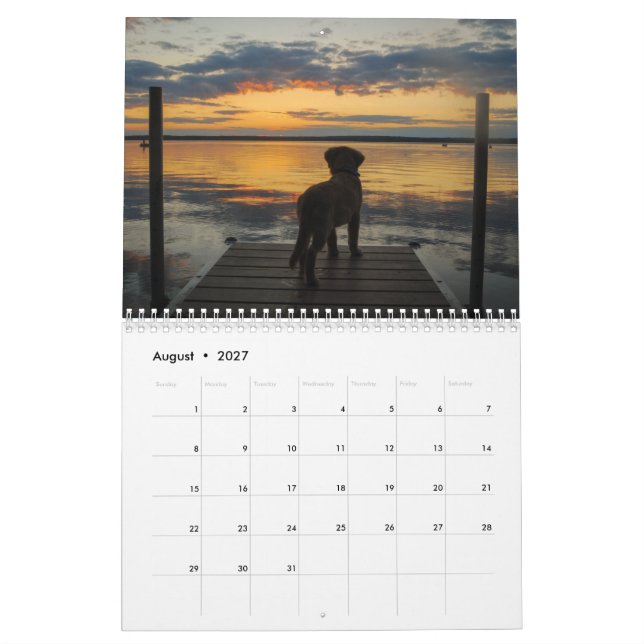 Lag känguruunge Jax 2016 Kalender (Aug 2027)