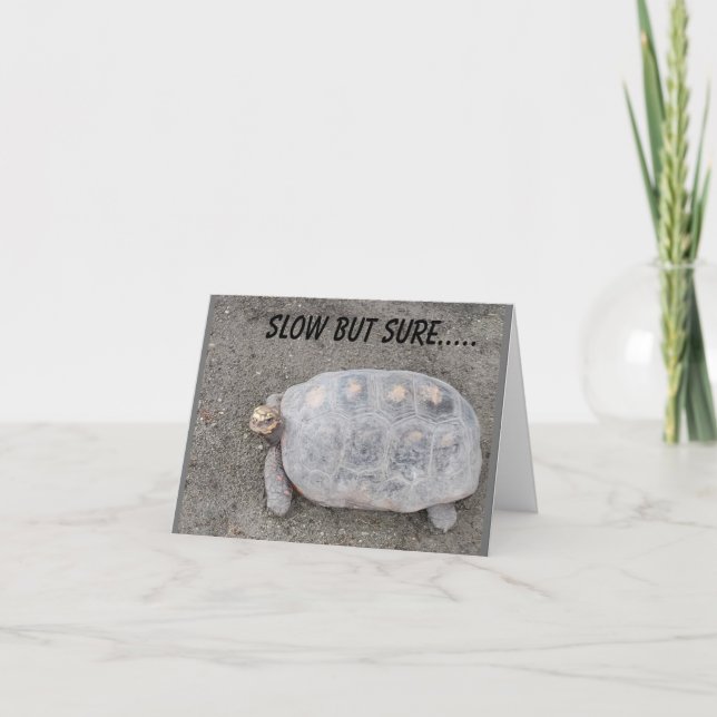 LÅG MEN SÄKER TURTLE-SKICKAR *70:e BIRTHDAY* ÖNSKE Kort (Framsida)