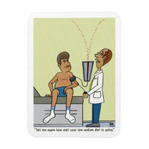Låg natriumhalt magnet