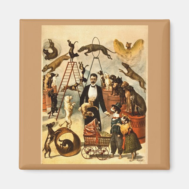 Lag om utbildad Hund 1899 - Vintage Circus Act Pos Magnet (Framsidan)