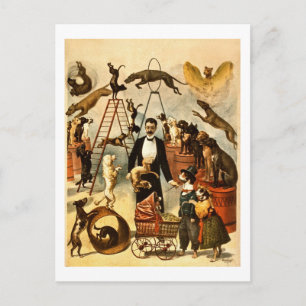Lag om utbildad Hund 1899 Vintage Circus Act Poste Vykort