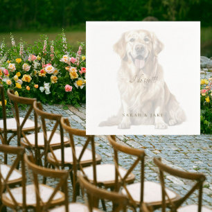 Låg opacitet Anpassningsbar Pet Bröllop Napkins Pappersservett