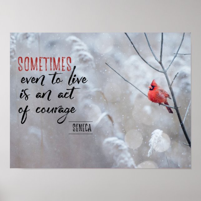 Lag Poster (Framsidan)