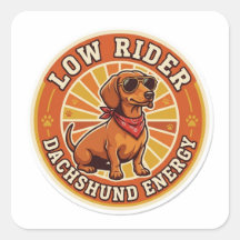Låg Ridå Dachshund Energi - Rolig Wiener Hund Retr
