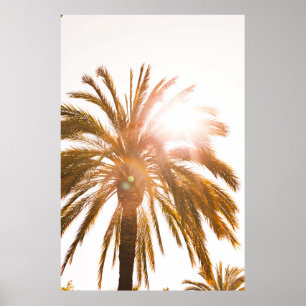 Låg vinkel fotografi av handflatan träd poster