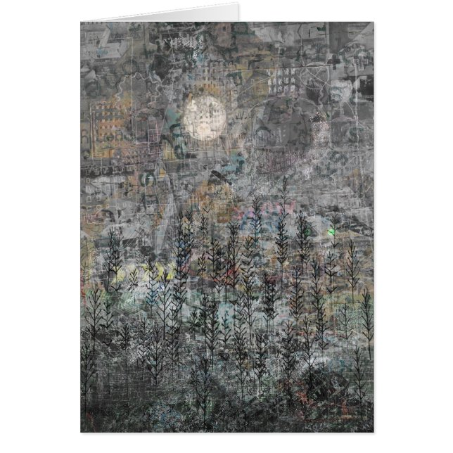 Låg vintersol hälsningskort (Framsidan)