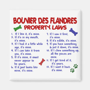 Lagar 2 för egendom för BOUVIER-DES FLANDRES Magnet