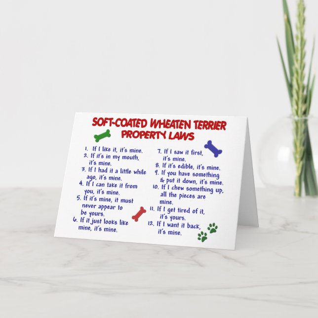 Lagar 2 för egendom för WHEATEN TERRIER för Kort (Framsida)