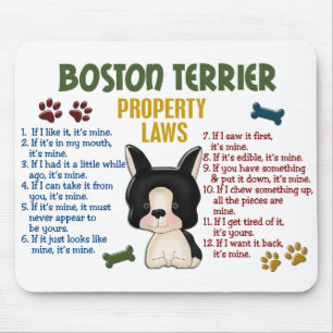 Lagar 4 för Boston Terrieregendom Musmatta