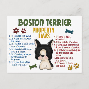 Lagar 4 för Boston Terrieregendom Vykort