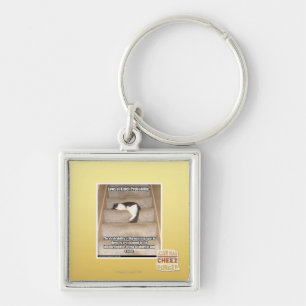 Lagar av den Kitteh probabilityen Fyrkantig Silverfärgad Nyckelring