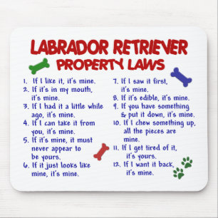 Lagar för egendom för LABRADOR RETRIEVER Musmatta