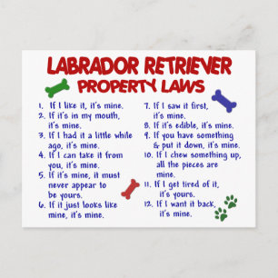 Lagar för egendom för LABRADOR RETRIEVER Vykort