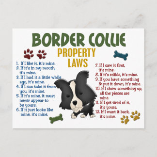 Lagar om gräns Collie Egendom 4 Vykort