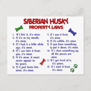Lagarna siberian husky Egendom 2 Vykort