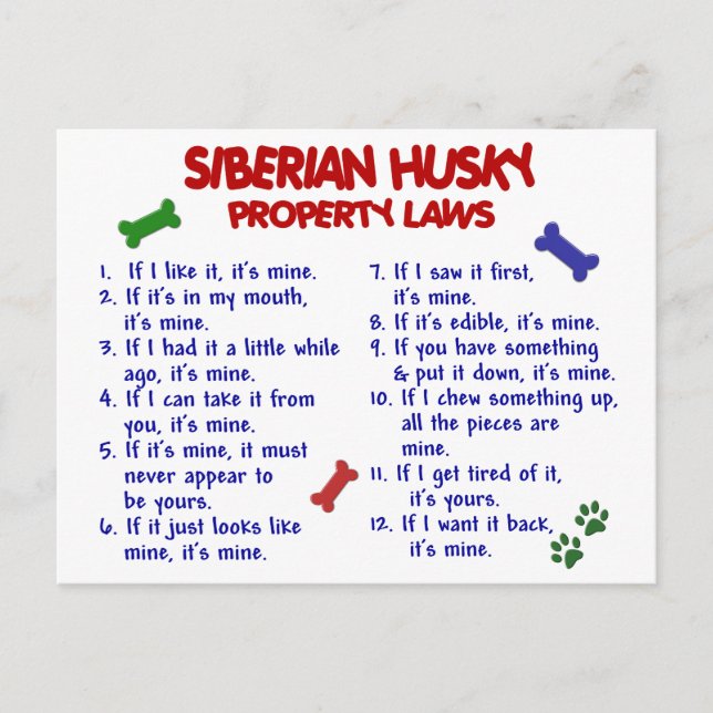 Lagarna siberian husky Egendom 2 Vykort (Framsida)