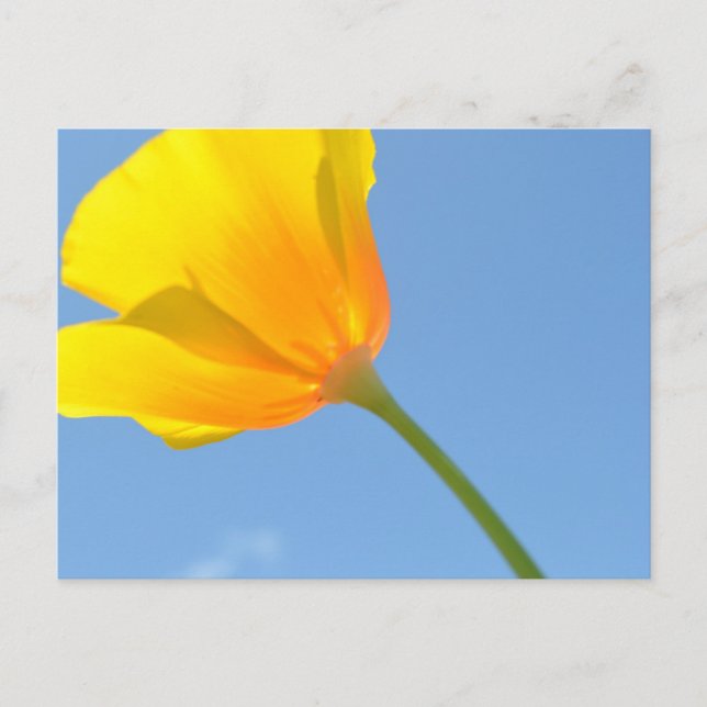 Lagen i Attraktion Vykort (Framsida)