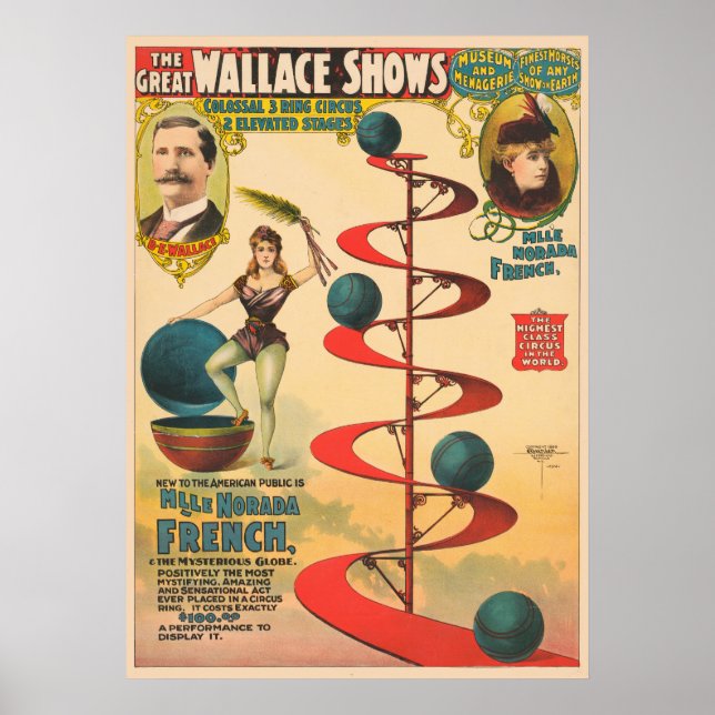 Lagen om Fransk av Mary Norada Poster (Framsidan)