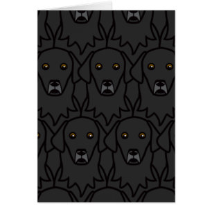 Lägenhet-Jackade Retrievers Hälsningskort
