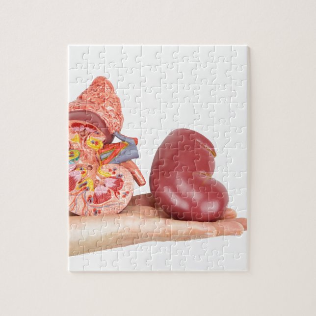 Lägenheten räcker visning modellerar människanjure pussel (Vertikal)