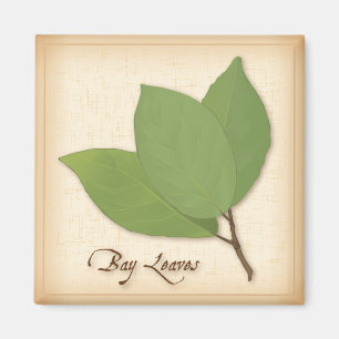Lagerbladar Magnet