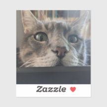 Läget, Cat? 3-tums vinyletikett