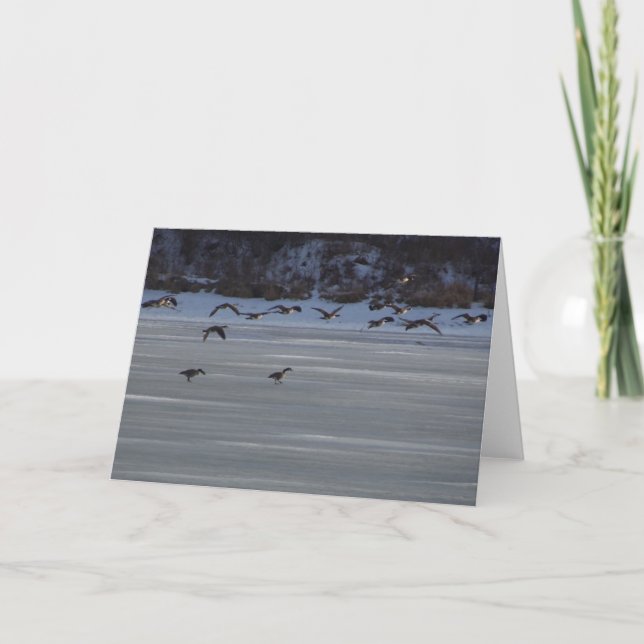 Lågflygande gäss kort (Framsida)