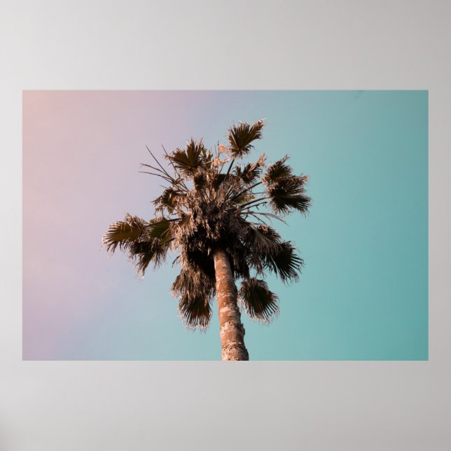 Lågfotografi av växten i handflatan poster (Framsidan)