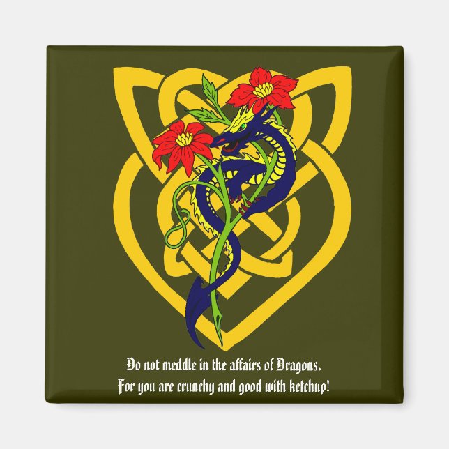 Lägg dig inte i Dragons angelägenheter. Magnet (Framsidan)