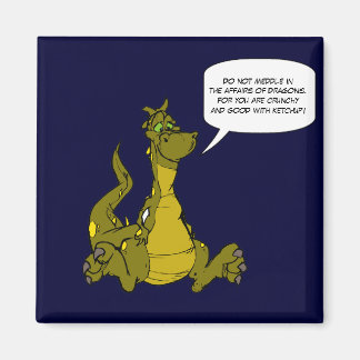 Lägg dig inte i Dragons angelägenheter. Magnet