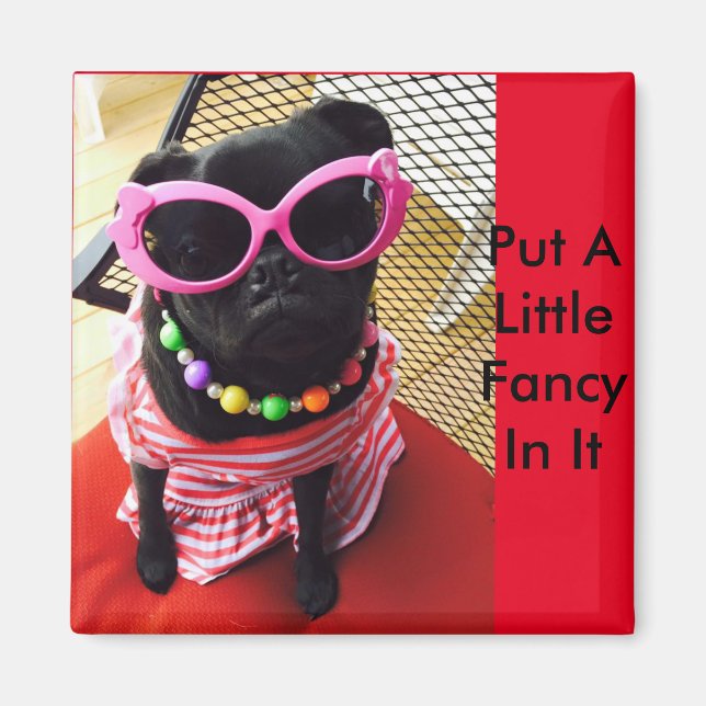 Lägg lite Finare i den Magnet (Framsidan)