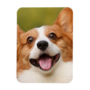 Lägg till anpassad Personlig för foto-Hund Magnet