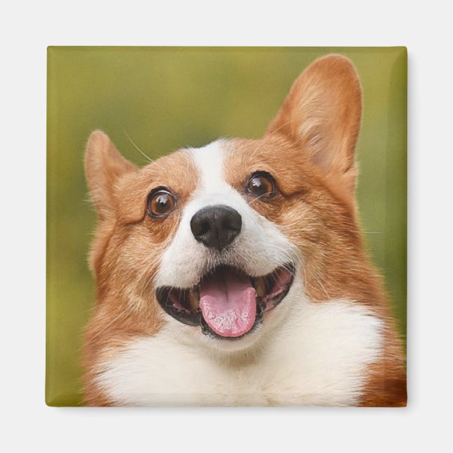 Lägg till anpassad Personlig för foto-Hund Magnet (Framsidan)