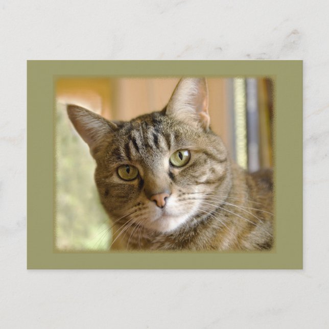 Lägg till Anpassningsbarnas fototänkare för din ma Vykort (Framsida)