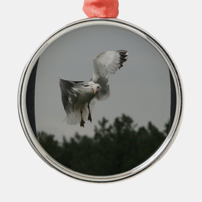 Lägg till bild stor oval Ram (svart) Julgransprydnad Metall (Framsidan)