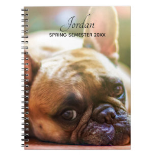 Lägg till bulldog i Fransken Namn Anteckningsbok