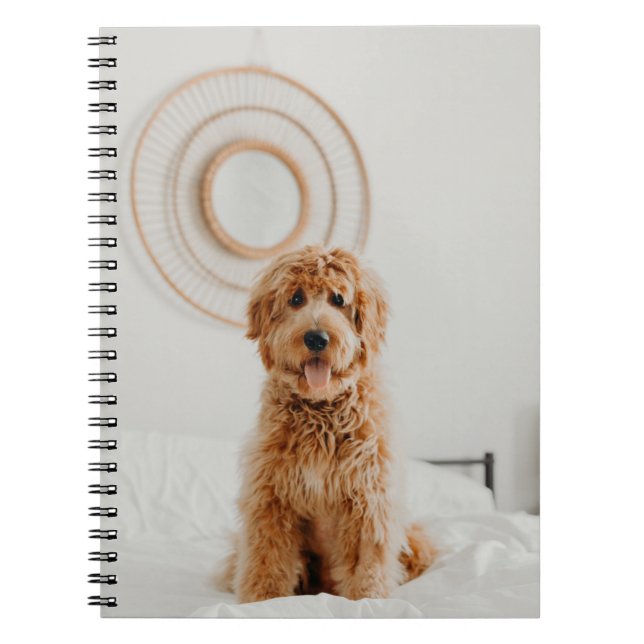 Lägg till din egen fotobildslogotyp DIY-bild Anteckningsbok (Framsidan)